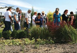 Galeria - Wrzosowa Chata 1