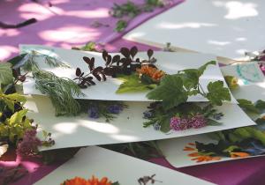 Galeria - Wrzosowa Chata 4